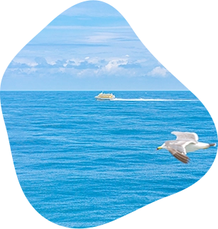 Activity Image